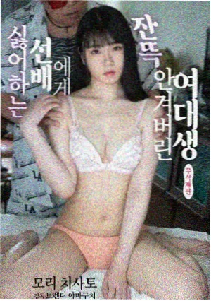 阳台上的阿姨 剧集海报